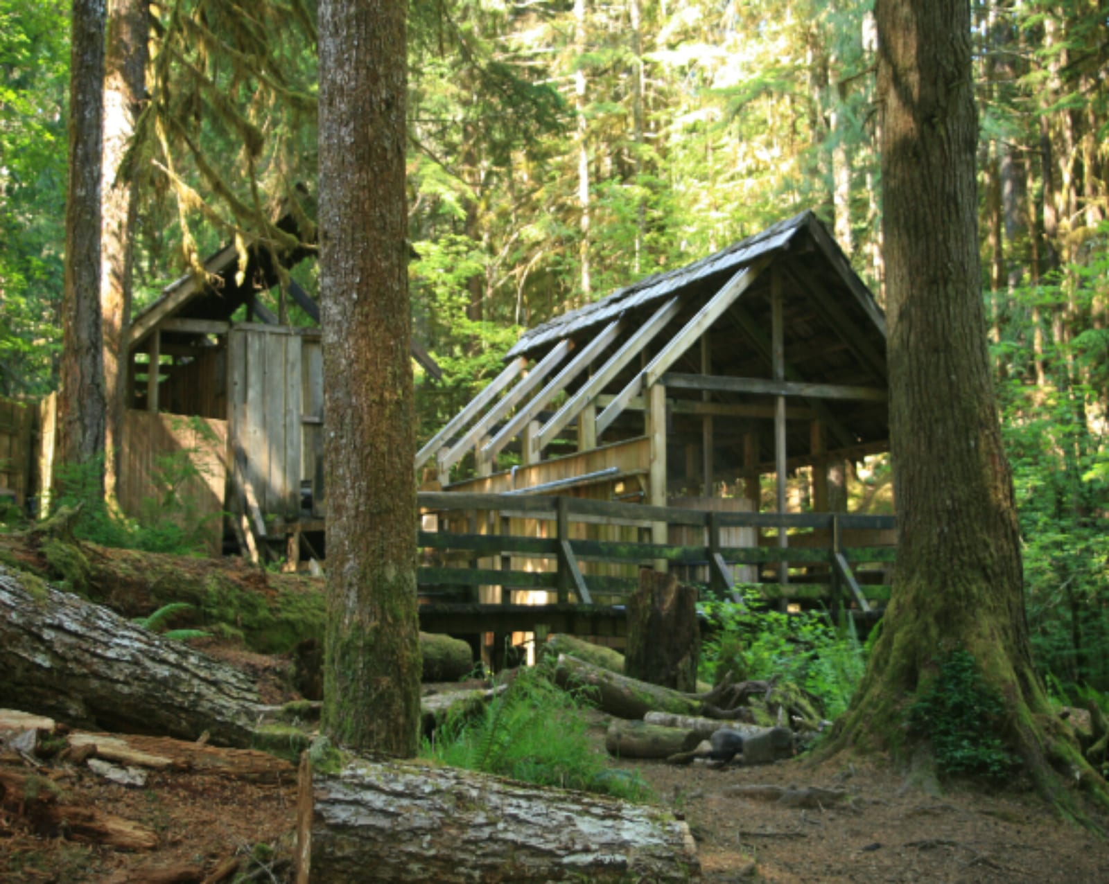 Bagby Hot Springs — natural hot spring in Estacada, OR