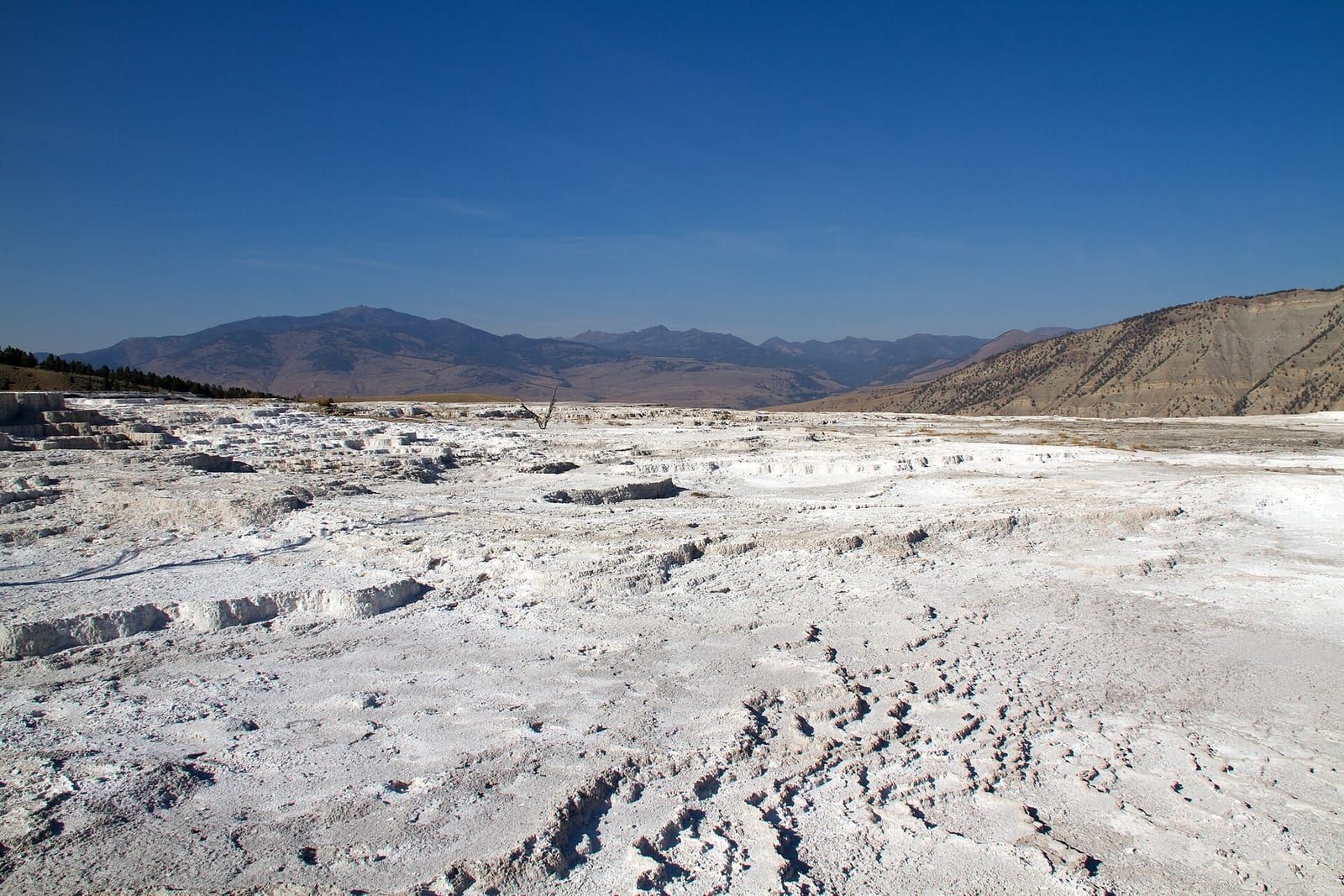 Mammoth Hot Spring — natural hot spring in Mammoth, WY