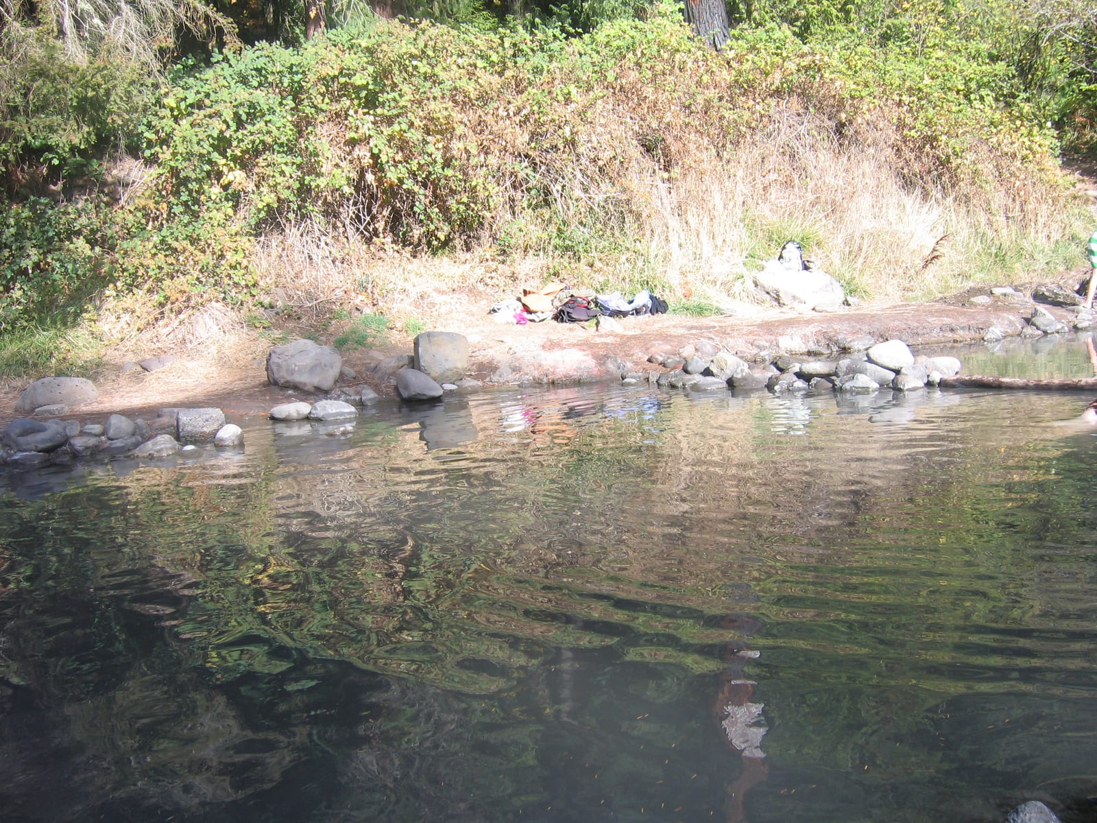 McCredie Hot Springs — natural hot spring in Lane County, OR