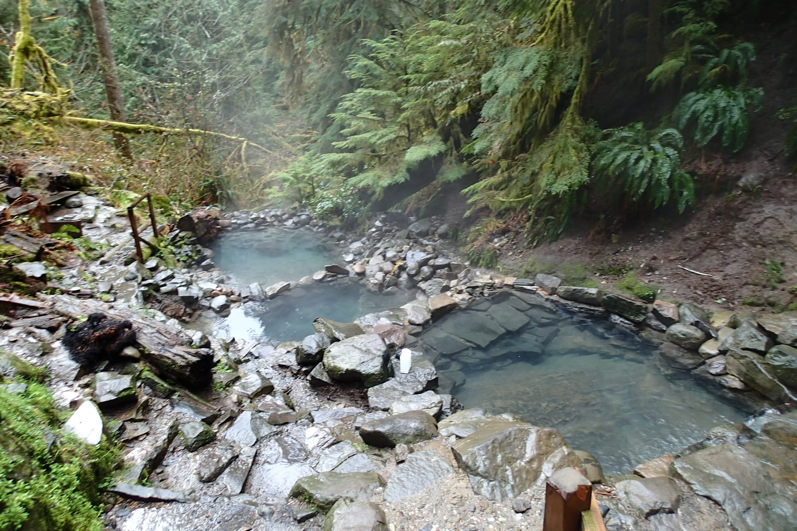 Terwilliger Hot Springs — natural hot spring in Blue River, OR