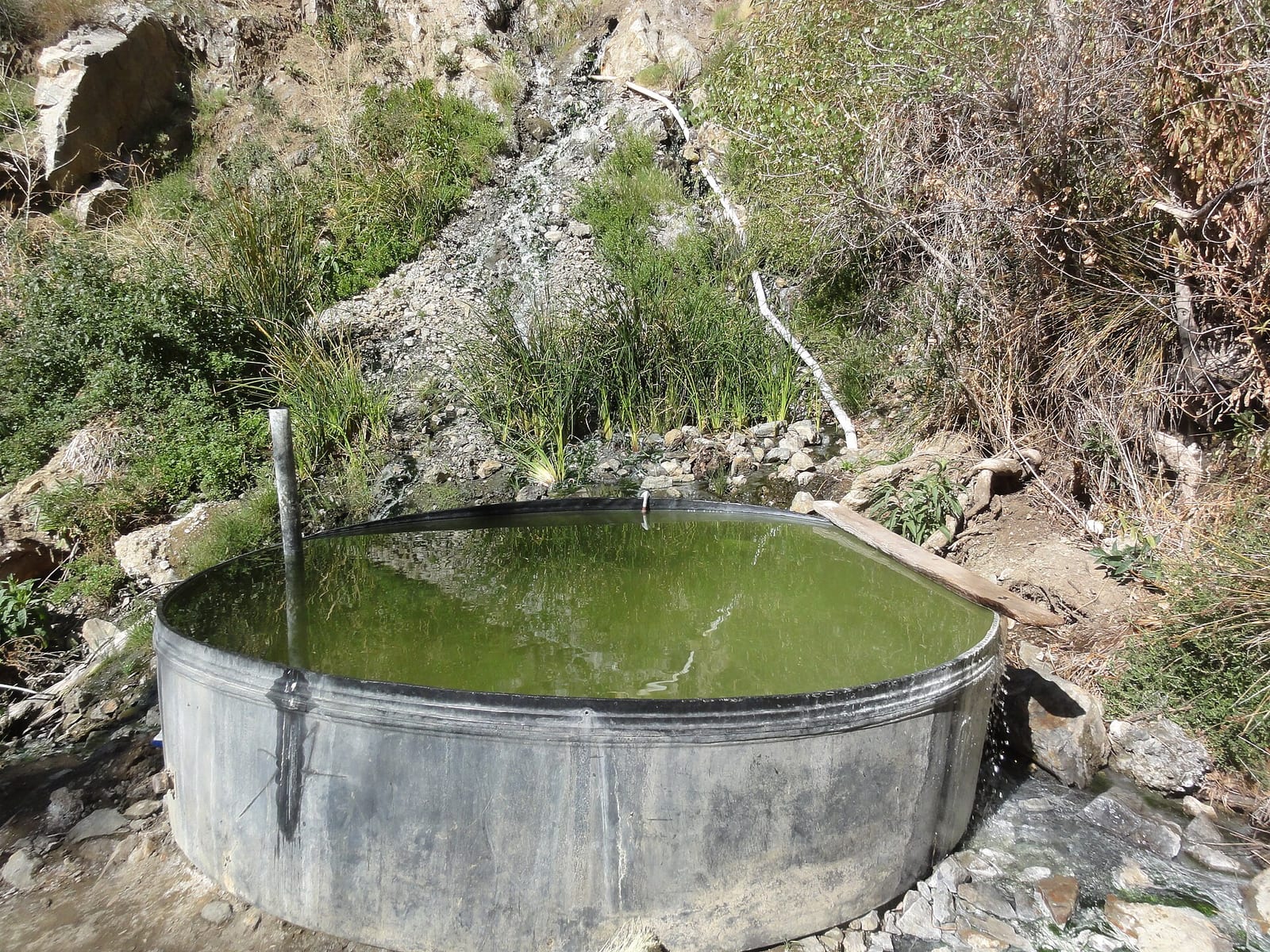 Willett Hot Springs — natural hot spring in Willett Hot Springs, CA